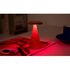 Gingko Sylva Table Lamp - Mini White Ash