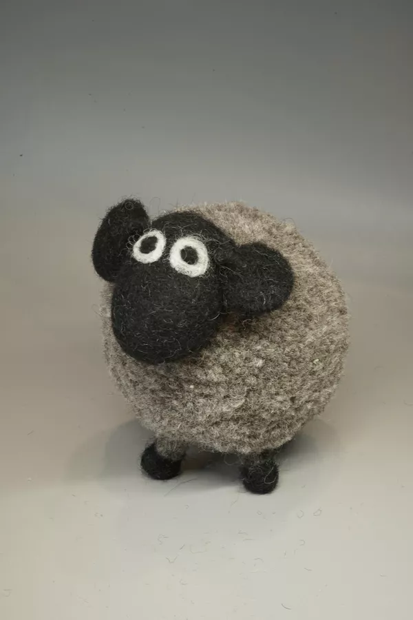 Pachamama Derek The Domestic Sheep