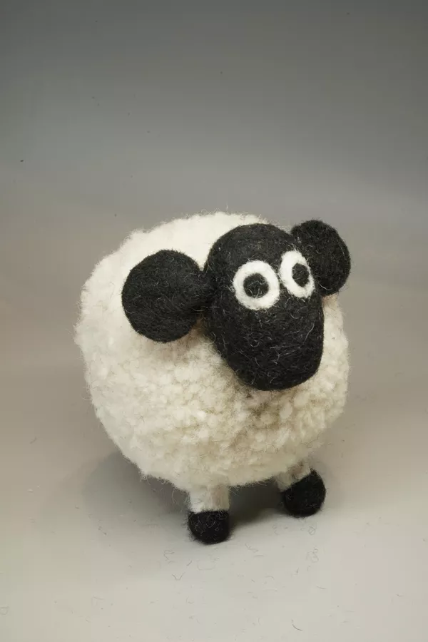 Pachamama Diana The Domestic Sheep