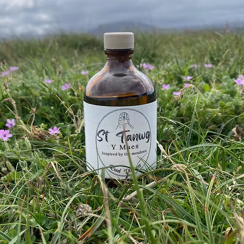 St Tanwg Reed Diffuser - Y Maes