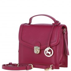 Ashwood Leather Compact Flap Over Handbag with Detachable Crossbody Strap - Raspberry Y-54