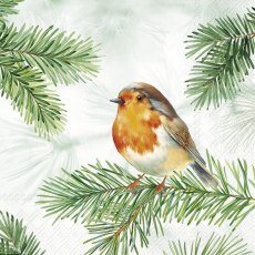 IHR Napkins Charming Robin