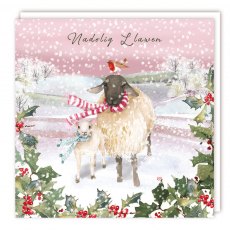 Nadolig Llawen 2 Sheep & Robin Christmas Cards - 5 Pack