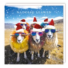 Nadolig Llawen Sheep In Sunglasses Christmas Cards - 5 Pack