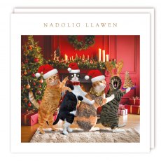 Nadolig Llawen Cat Conga Christmas Cards - 5 Pack