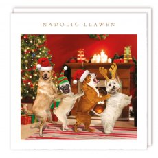 Nadolig Llawen Dog Conga Christmas Cards - 5 Pack