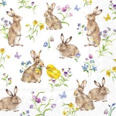 IHR Napkins Easter Friends White