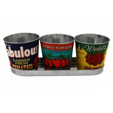 Vintage Style Set of 3 Tomato Planters With Tray