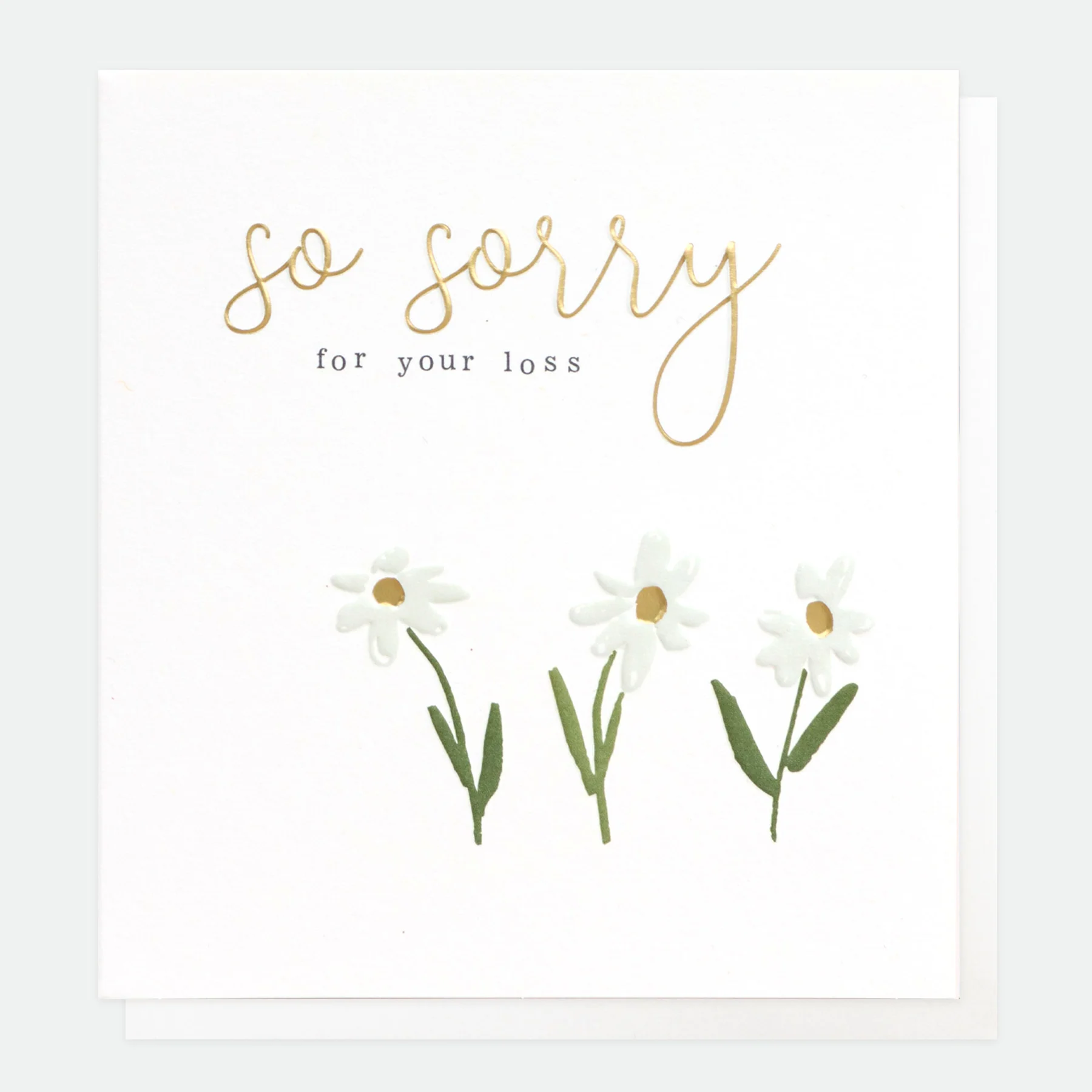 Caroline Gardner Daisies Sorry For Your Loss Sympathy Card