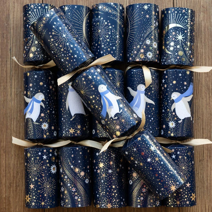 Sara Miller Artic Waltz Navy Crackers Sara Miller Artic Waltz Navy Crackers
