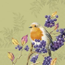 IHR Napkins Bird Life Green IHR Napkins Bird Life Green