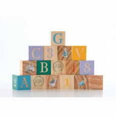 Peter Rabbit 16pc Wooden Picture Blocks