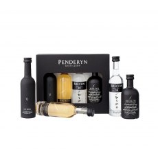 Penderyn Set Of Four Miniatures Gift Set