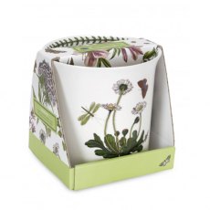 Botanic Garden Orchid Pot