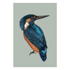 Ben Rothery Kingfisher Greeting Card