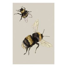 Ben Rothery Bumble Bee Greeting Card