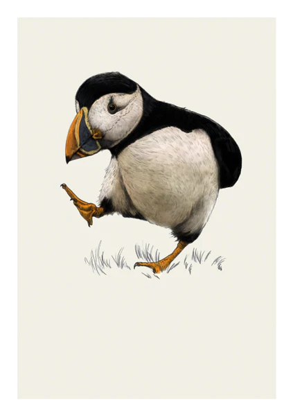 Ben Rothery Puffin Greetings Card