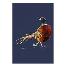 Ben Rothery Pheasant Greetings Card