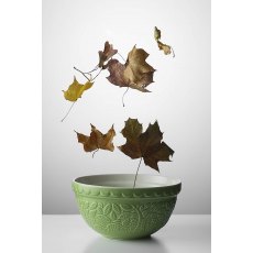 In The Forest Green Embossed Mixing Bowl 21cm