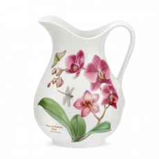 Exotic Botanic Garden Ewer Moth Orchid/Dragonfly