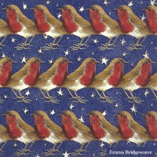 Napkin Robin In Starry Night