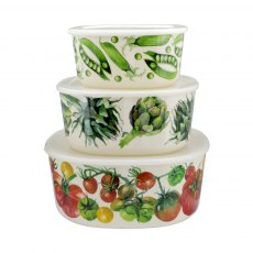 Vegetable Garden S/3 Storage Containers