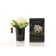 Gardenia Single Flower Black