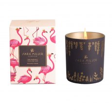 Sara Miller Grapefruit,Tonca & Yuzu Candle