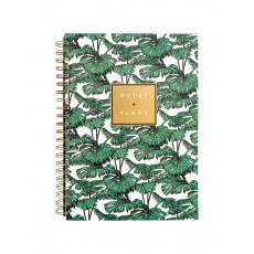 Alice Scott Notes & Plans
