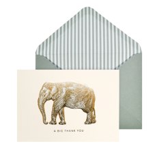 Elephant Thank You Notecards 10pk