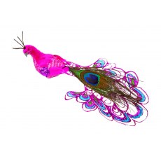 Pink Peacock On Clip