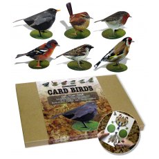 Garden Birds 3D Model Kit Set 1 Blackbird