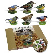 Garden Birds 3D Model Kit Set 2 Thrush