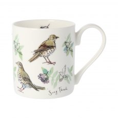 Song Thrush Mug