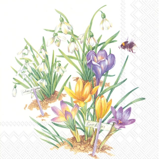 IHR Napkins Farm Goose