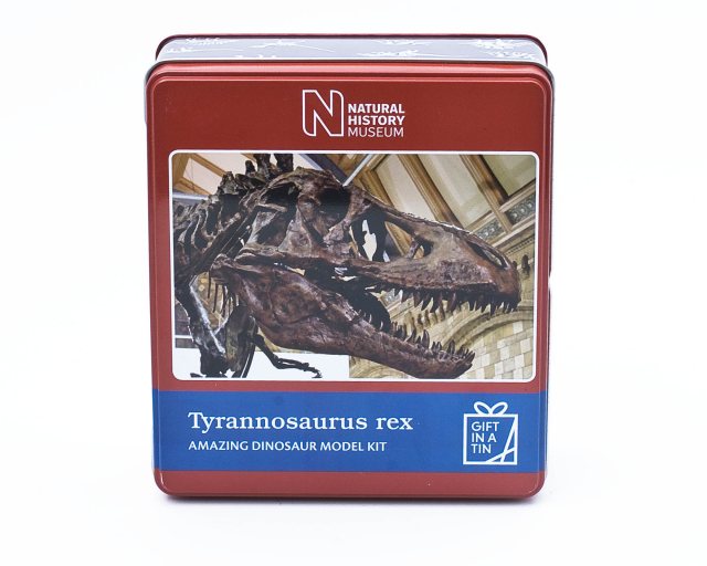 Rex London Cupcake Cases - Wild Wonders Pack of 50