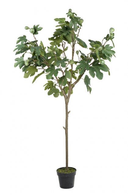 Artificial Fig tree Potted