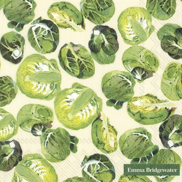 Emma Bridgewater Napkins Sprouts