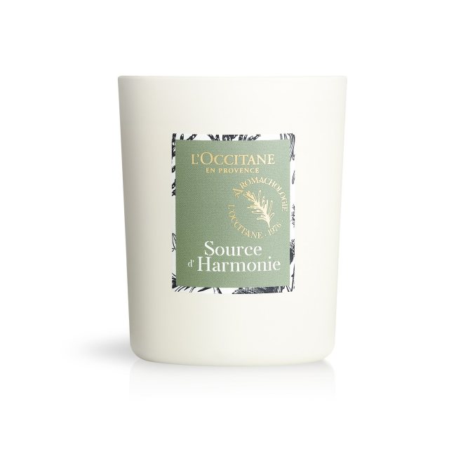 L'Occitane Botanic Garden Harmony Breakfast Cup & Saucer Moss Green