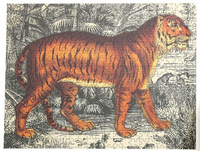 Safari Tiger Puzzle 500pc