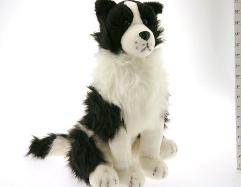 Border Collie Door Stop