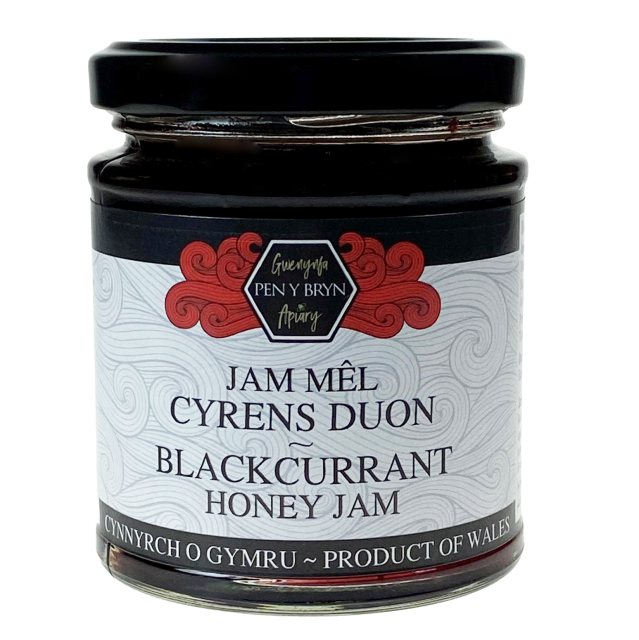 Pen y Bryn Apiary  Welsh Speciality Foods Welsh Plum Chutney 311g