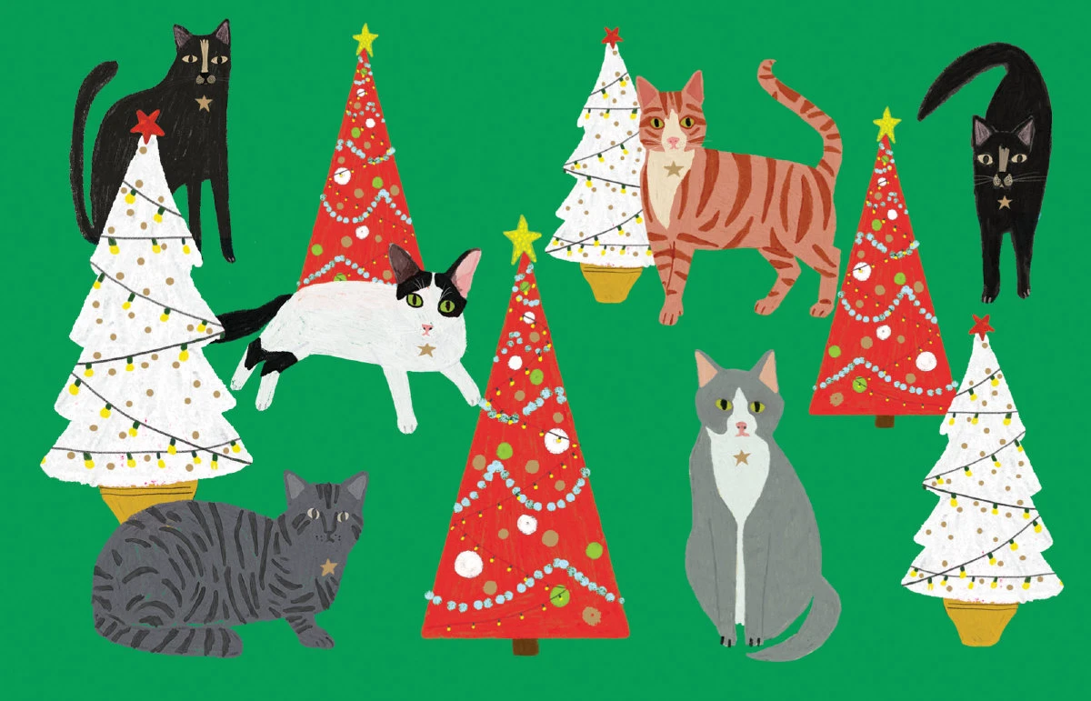 Fabulous Felines Christmas Cards 8 Pack