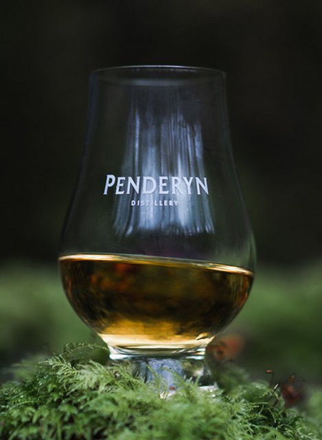 Penderyn Nosing Glass