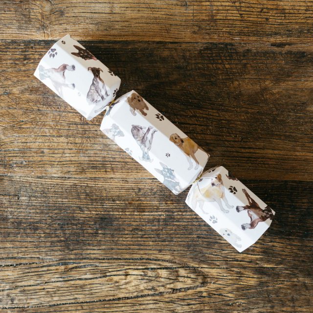 Dog Festive Cracker