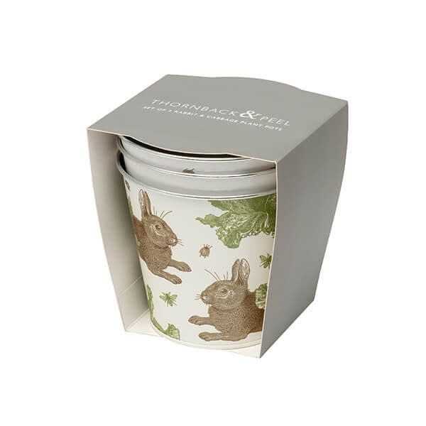 Thornback & Peel Rabbit & Cabbage Plant Pot Set of 3