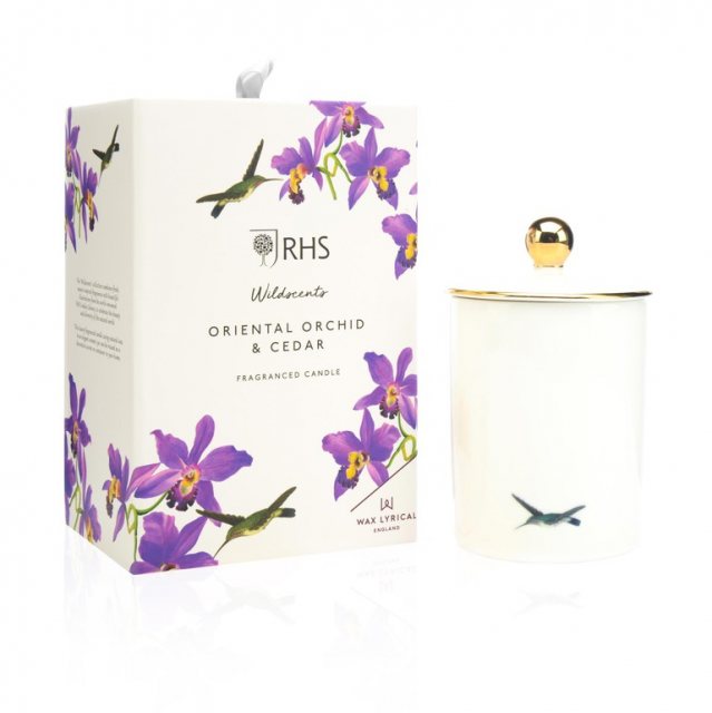 Royal Horticultural Society RHS Oriental Orchid & Cedar Ceramic Candle