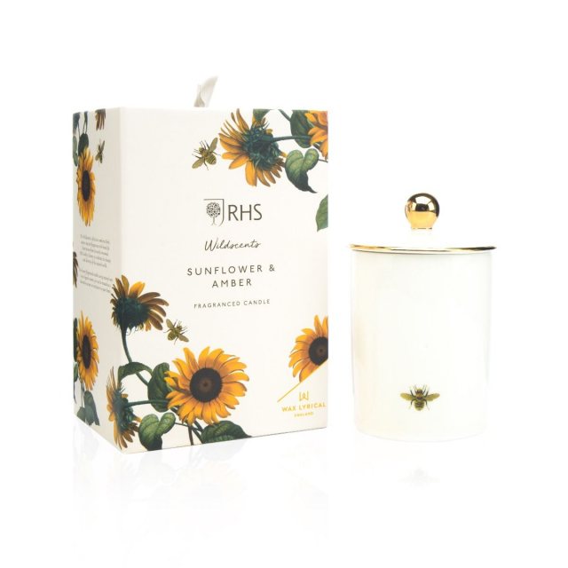 RHS Sunflower & Amber Ceramic Candle