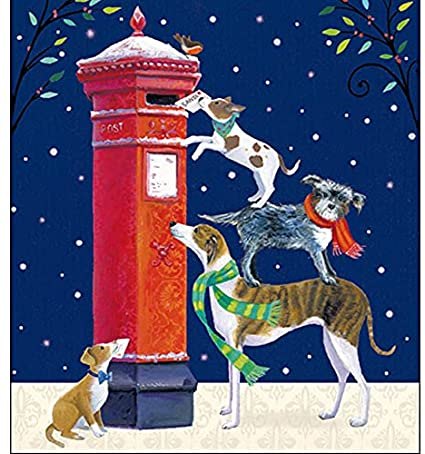 Polar Bear Christmas Charity Cards - 6 Pack