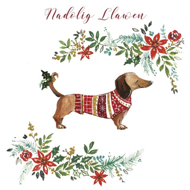 Dachshund Pattern Christmas Charity Cards - 6 Pack